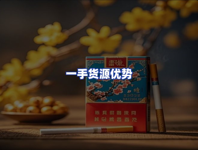 专业团队